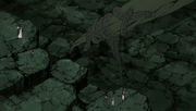 Orochimaru detêm a raíz (Anime).png