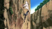 Kiba e Akamaru treinando.png