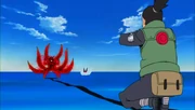 Shikamaru acerta Kinkaku com Kagemane.png