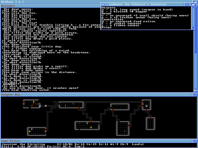 File:Amiganethack.png