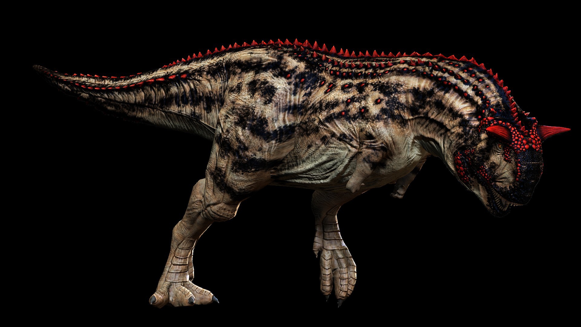 carnotaurus 2