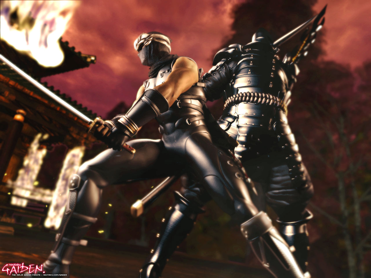 Ryu Hayabusa | Ninja Gaiden Black Wiki | Fandom powered by Wikia
