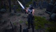 Dragon sword awakens