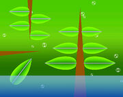 SSBB hanenbow