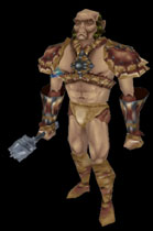 barbarian nwn neverwinter wikia contents