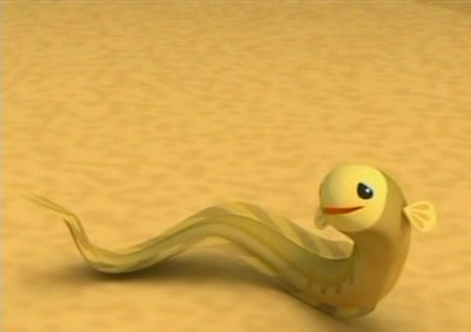 wolf eel baby wolf eel baby