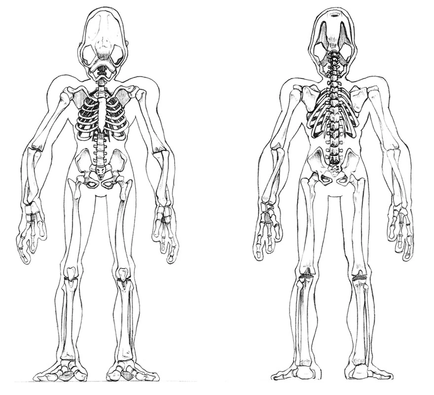 latest?cb=20121227041354