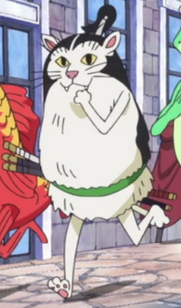 Image - Zoro's Cat Disguise.png | One Piece Wiki | Fandom powered by Wikia
