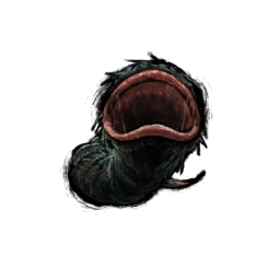 Nozuchi Onigiri Wiki