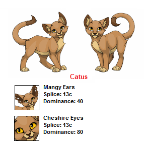 Catsh