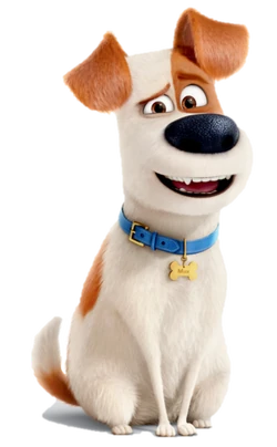 Max (The Secret Life of Pets) | Heroes Wiki | Fandom ...