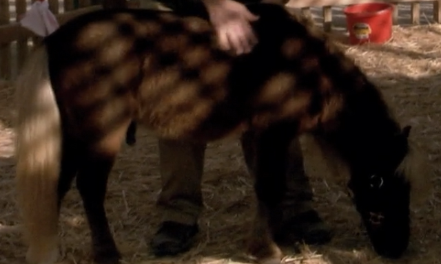 File:Li'l Sebastian.png