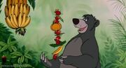 Baloo (The Jungle Book)