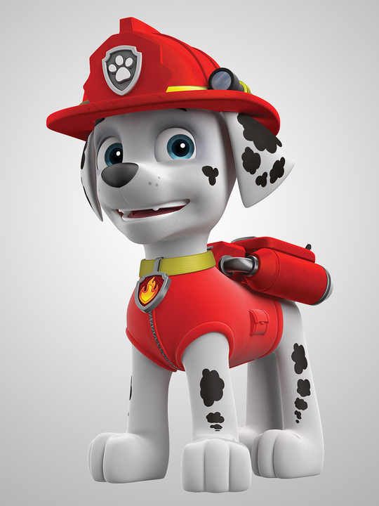 paw patrol marshall