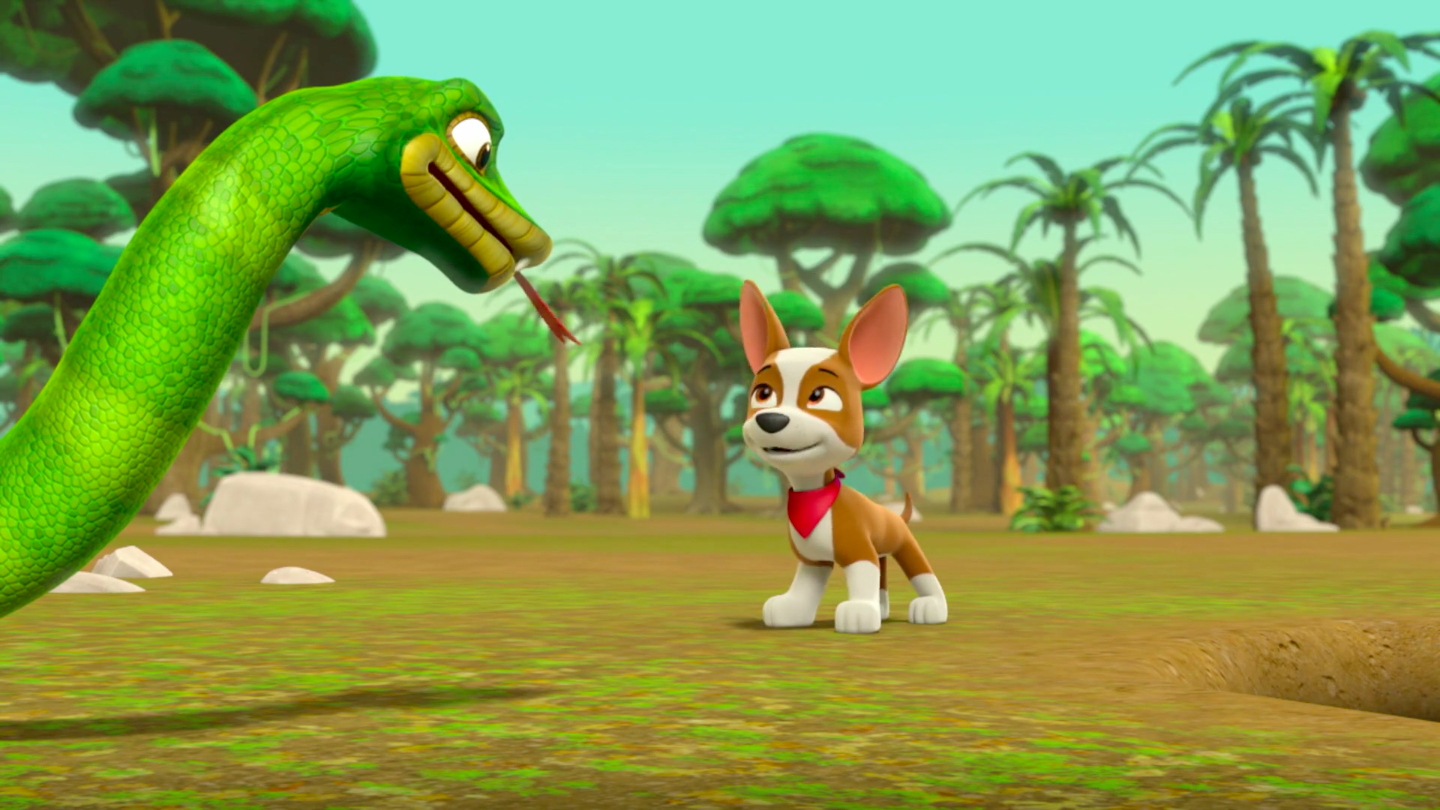 Snake | PAW Patrol Wiki | Fandom powered by Wikia