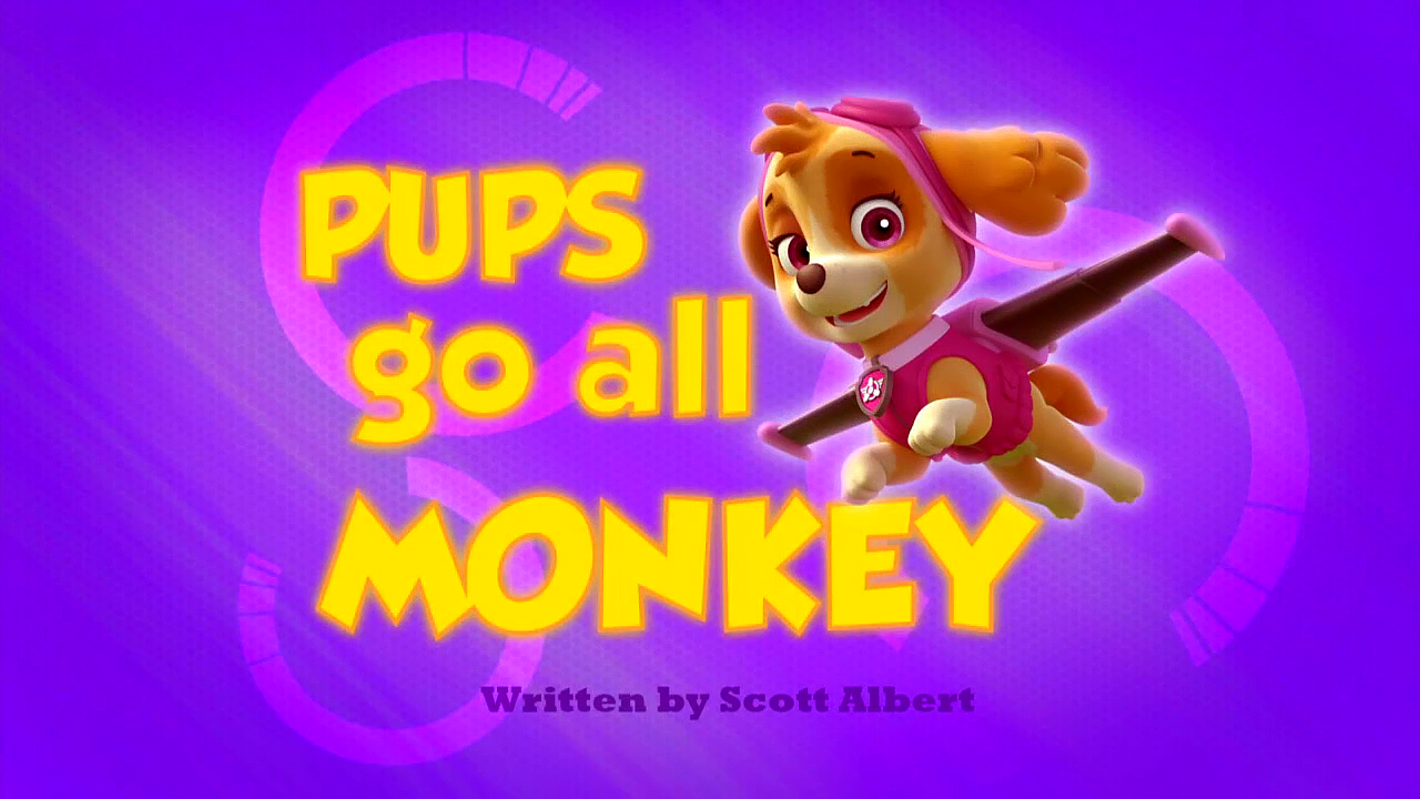 paw patrol pups save a hoot