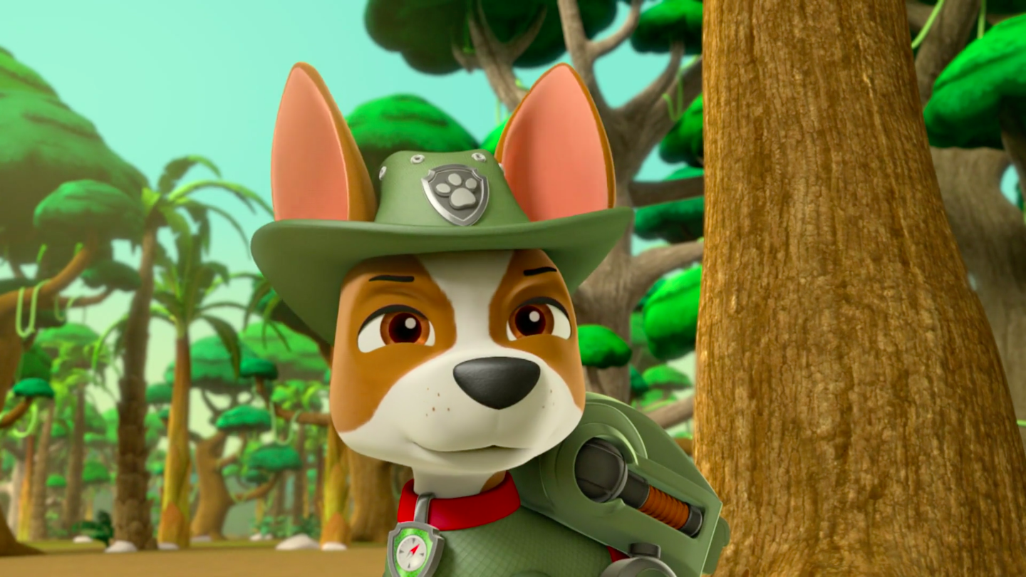 what of is tracker from paw patrol image paw patrol 315 55 tracker png paw patrol wiki fandom powered by wikia what of is tracker from paw patrol image paw patrol 315 55 tracker png paw patrol wiki fandom powered by wikia