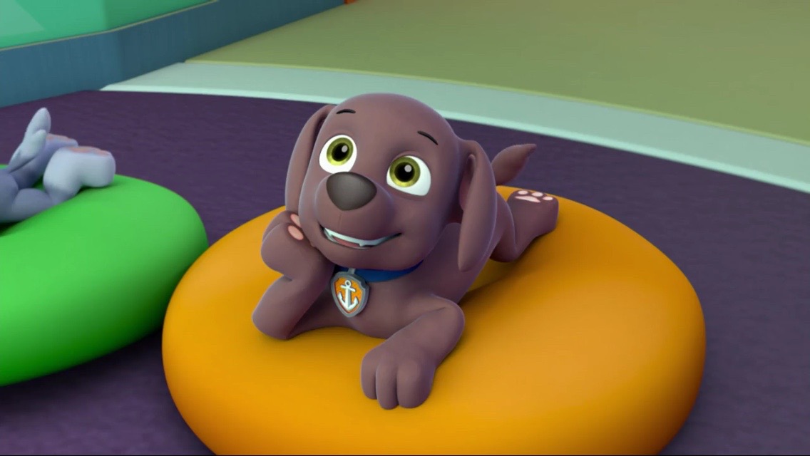 zuma rocky paw patrol zuma rocky paw patrol