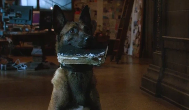 640?cb=20140502094401