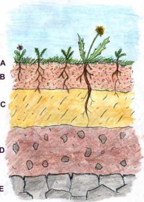 Soilprofile1