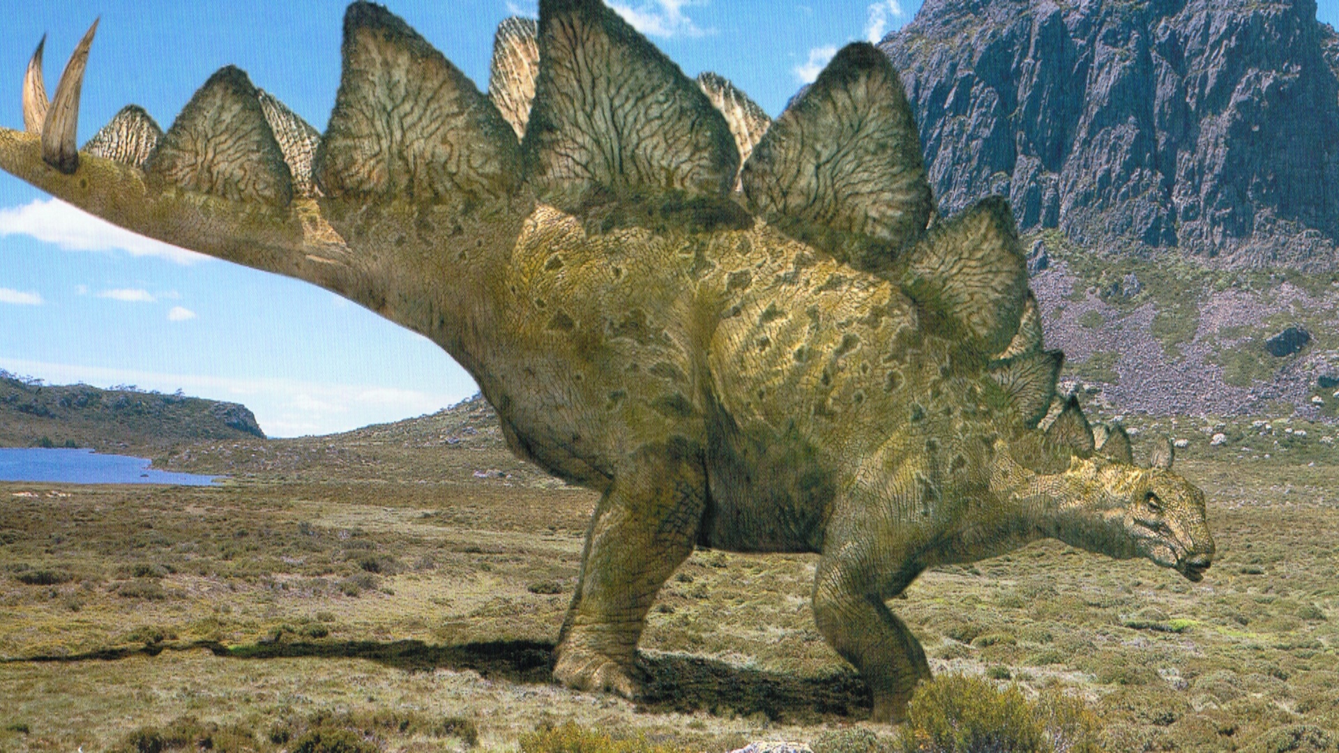Stegosaurus Dinosaur Simulator Wikia Fandom Powered By