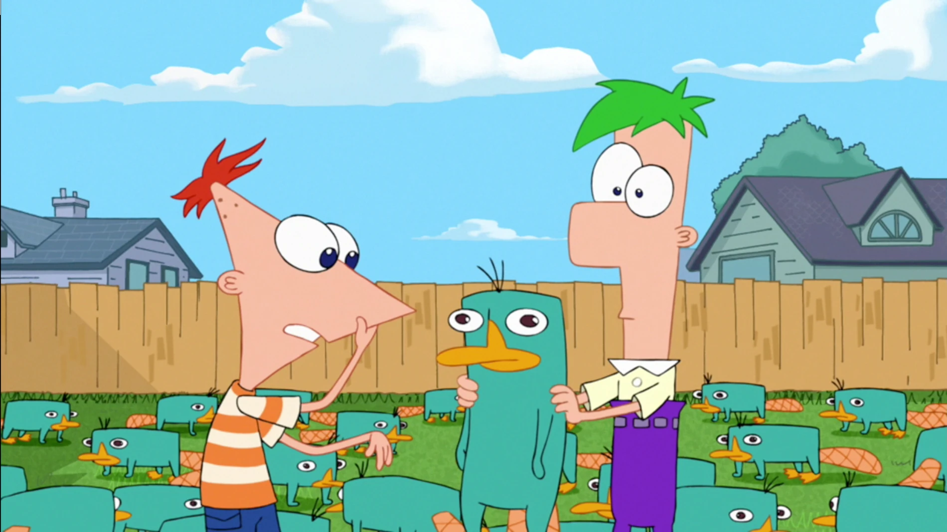 Image That platypus smells of meatloaf.jpg Phineas and Ferb Wiki