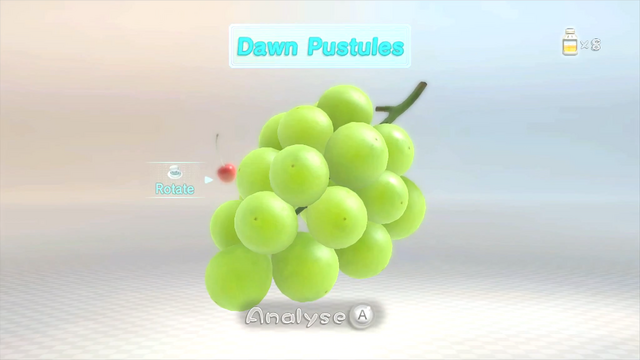 File:Dawn Pustules.png