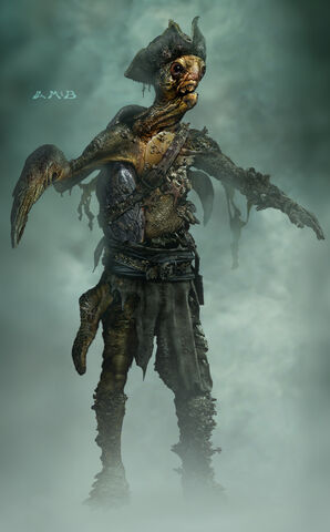 File:Turtleman.jpg