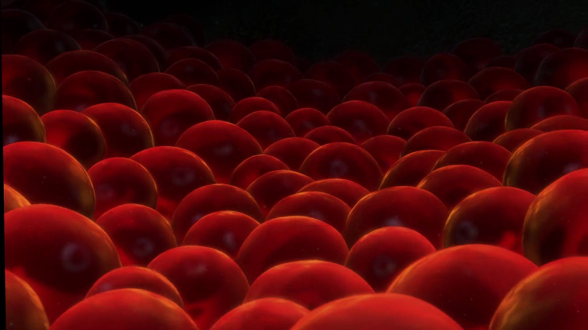 image-nemo-eggs-jpg-pixar-wiki-fandom-powered-by-wikia