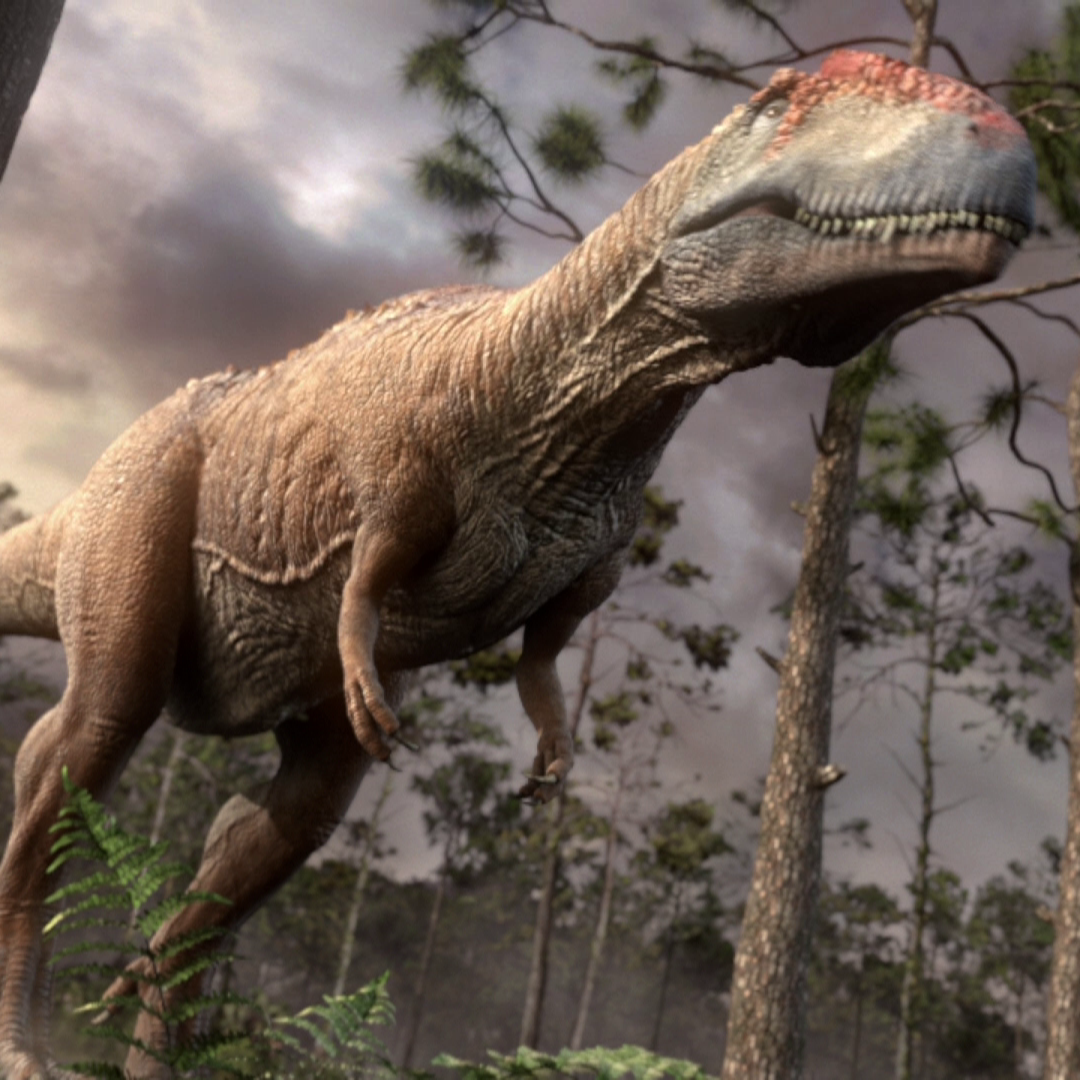 Image MapusaurusPortrait.png Dinosaur Wiki Fandom powered