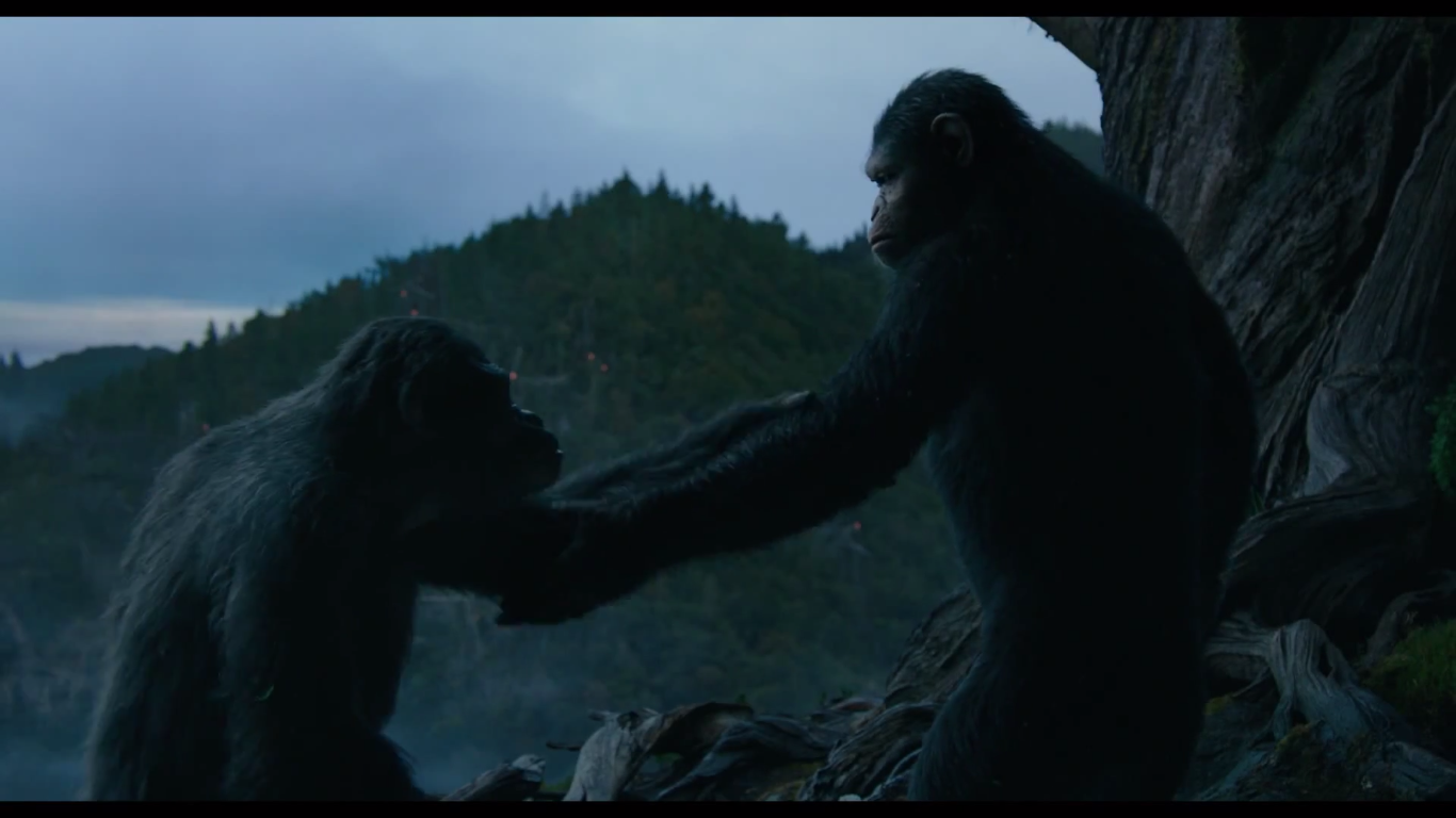 Image Caesar & Koba.png of the Apes Wiki FANDOM powered by