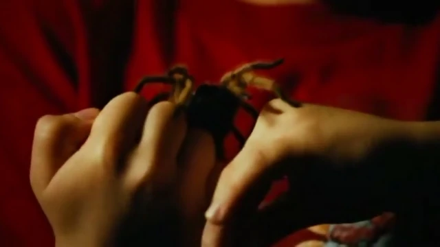 Watch Planet Terror Dailymotion Watch Planet Terror Dailymotion