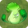 Bonk Choy2