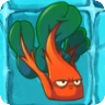 Chard Guard2