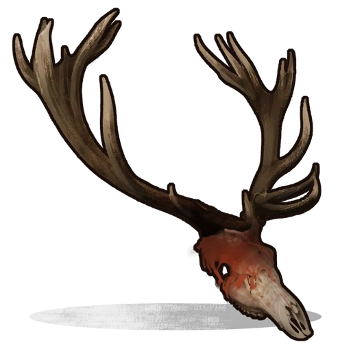 Deer Skull | Rust Wiki | Fandom powered by Wikia