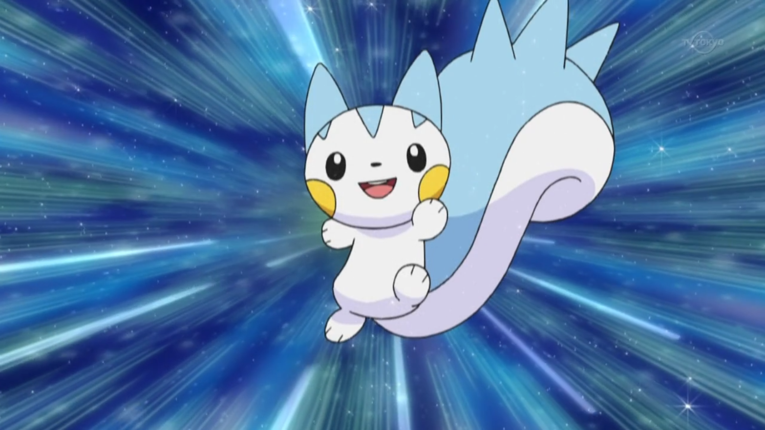 Dawn's Pachirisu | Pokémon Wiki | Fandom powered by Wikia