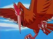 Fearow anime