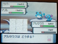 DPBox.gif (111 KB) DPBox