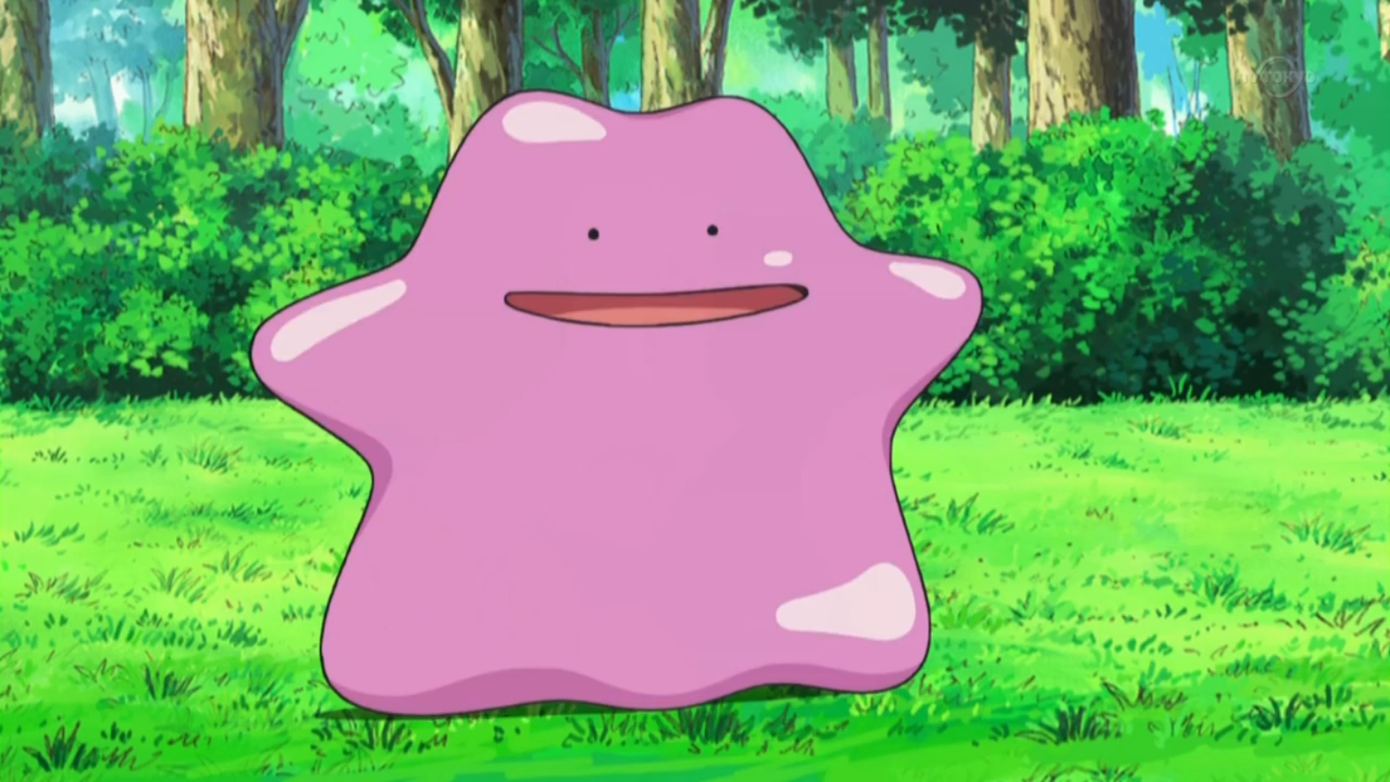 Ditto 1 Pokémon Wiki Fandom Powered By Wikia