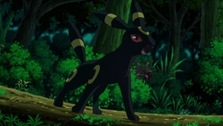 http://vignette2.wikia.nocookie.net/pokemonopedia/images/2/29/Umbreon_Anime.png/revision/latest?cb=20130317101033&path-prefix=pl