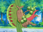 Brock Sudowoodo Rock Head