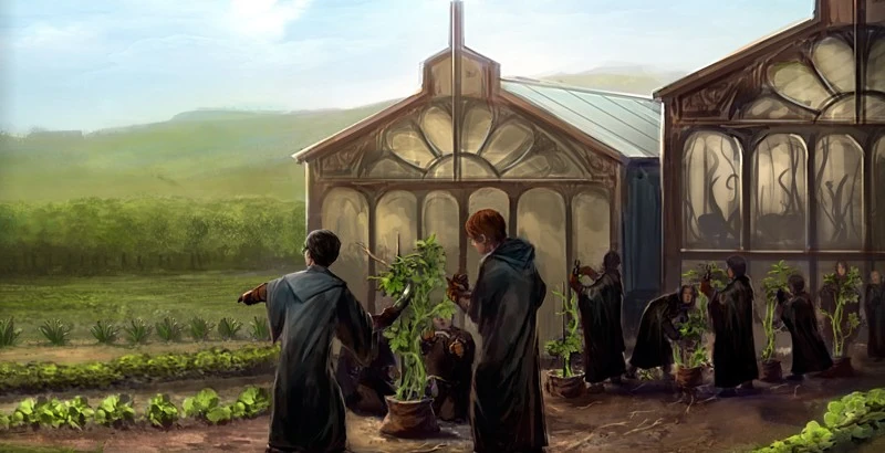 Follow the Spiders | Pottermore Wiki | Fandom powered by Wikia