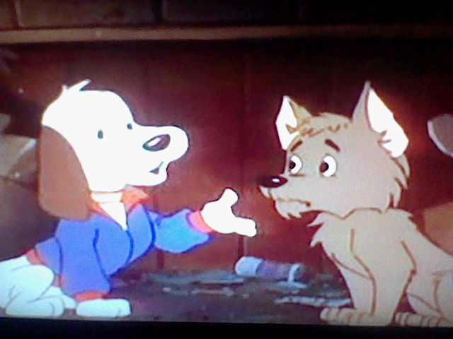 pound puppies cooler episode 26 cooler come back pound puppies 1986 wiki fandom powered by wikia pound puppies cooler episode 26 cooler come back pound puppies 1986 wiki fandom powered by wikia