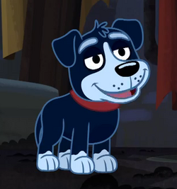 pound puppies names pound puppies 2010 wiki pound puppies names pound puppies 2010 wiki