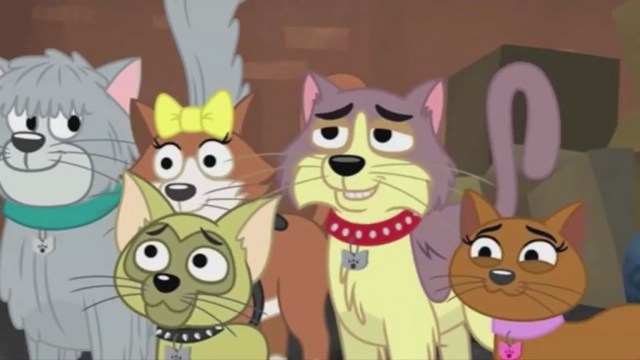 pound puppies and kittens kennel kittens pound puppies 2010 wiki fandom powered by wikia pound puppies and kittens kennel kittens pound puppies 2010 wiki fandom powered by wikia