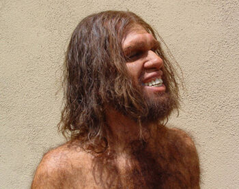 Neanderthal Physiology...