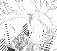 336px-Awakened Kakine