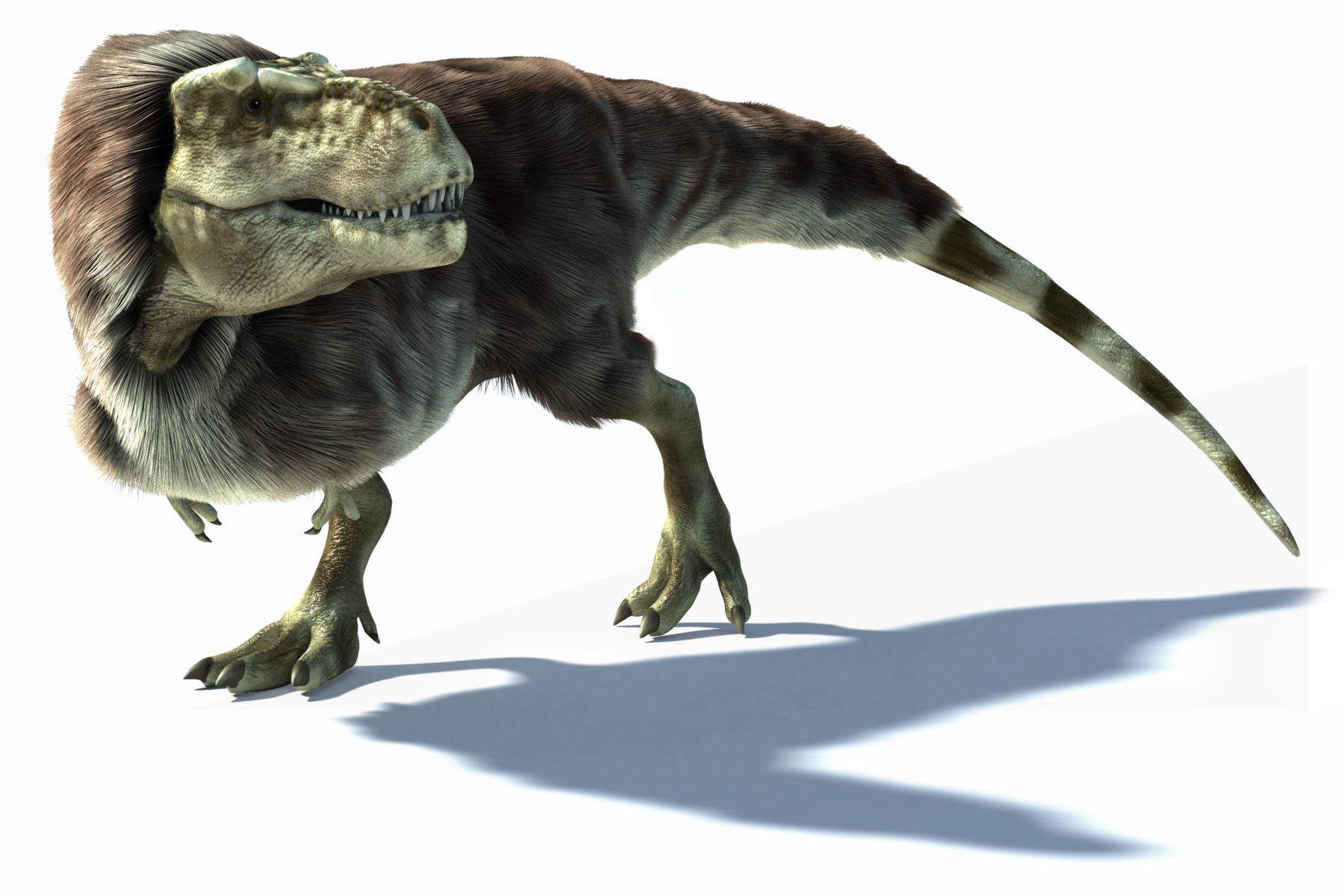 Il Tirannosauro è sempre il re dei dinosauri? | Regno Natura