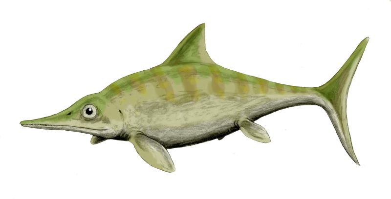 Resultado de imagen de ophthalmosaurus