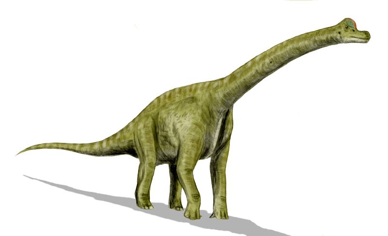 Resultado de imagen para Ultrasaurus gif